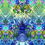 Colour:F