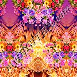 Colour:J