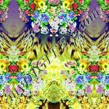 Colour:K