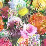 Colour:A