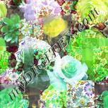 Colour:D