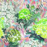 Colour:C