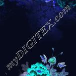Colour:F