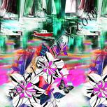Colour:B