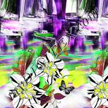 Colour:D