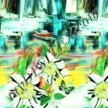 Colour:K