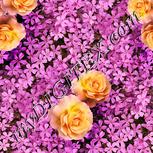Colour:J