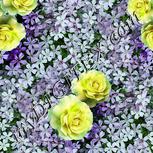 Colour:K