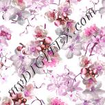 Colour:B