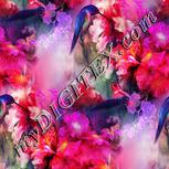 Colour:B
