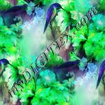 Colour:C