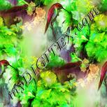 Colour:D