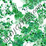 Colour:C