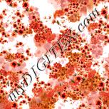 Colour:J