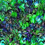 Colour:C