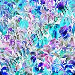 Colour:F