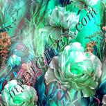 Colour:C