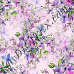 Colour:A