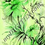 Colour:D