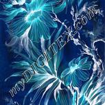 Colour:F