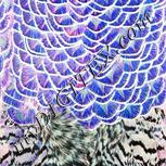 Colour:F