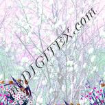 Colour:B