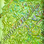 Colour:K