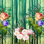 Colour:A