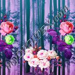 Colour:B