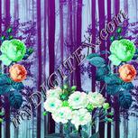 Colour:C