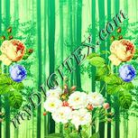 Colour:K