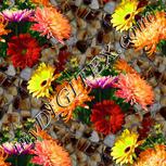 Colour:A