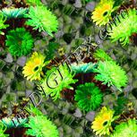 Colour:D
