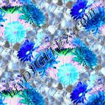 Colour:F