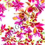 Colour:B