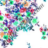 Colour:B