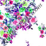 Colour:C