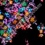 Colour:F