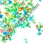 Colour:K