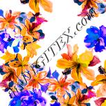Colour:J