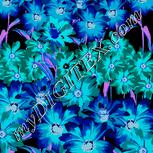 Colour:F