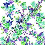 Colour:C
