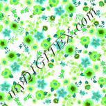 Colour:C