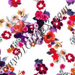 Colour:B