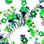 Colour:C