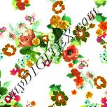 Colour:K