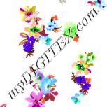 Colour:A