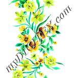 Colour:K