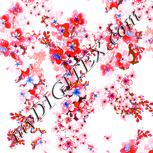Colour:A