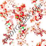 Colour:B